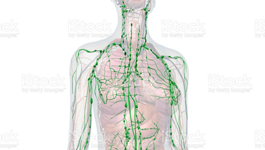 Image for Lymphatic Drainage with RMT